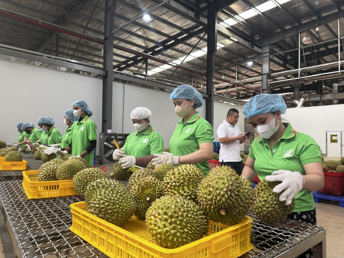 Nông sản Việt cần thích ứng với Nghị định 280 của Trung Quốc và quy định RCEP mới