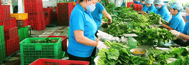 Chú trọng đảm bảo an toàn thực phẩm tại các chợ kinh doanh nông sản