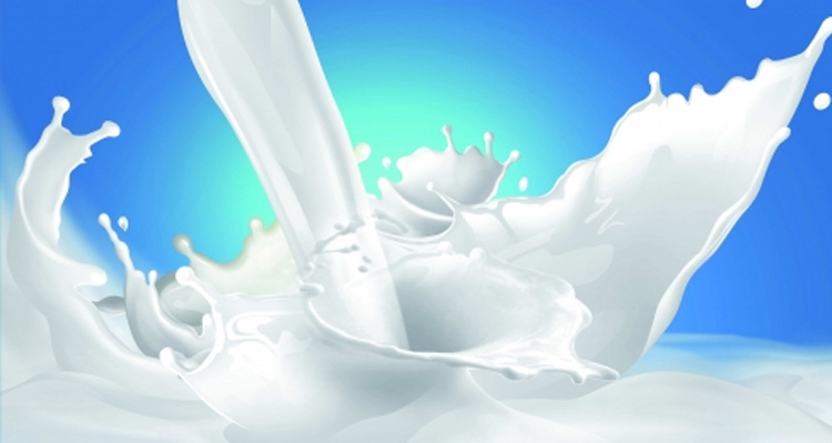  Vệ sinh an toàn thực phẩm cơ sở sản xuất kinh doanh sữa