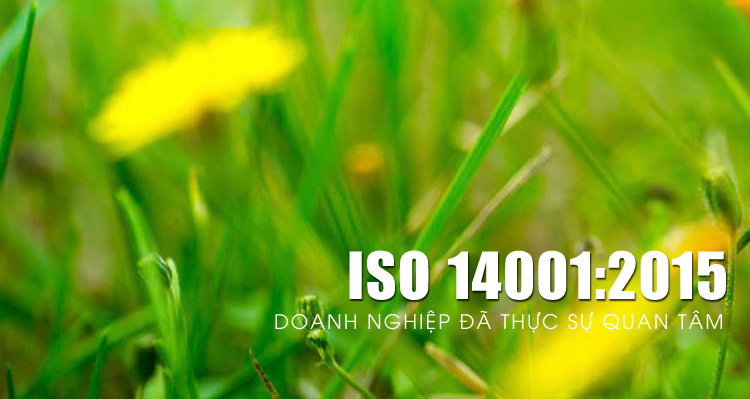  Quy trình thực hiện tư vấn ISO 14001