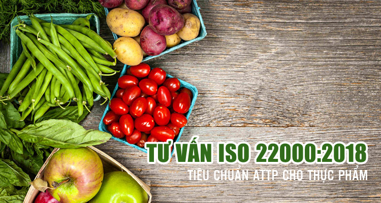  Tư vấn ISO 22000:2005 - Hệ thống quản lý an toàn thực phẩm