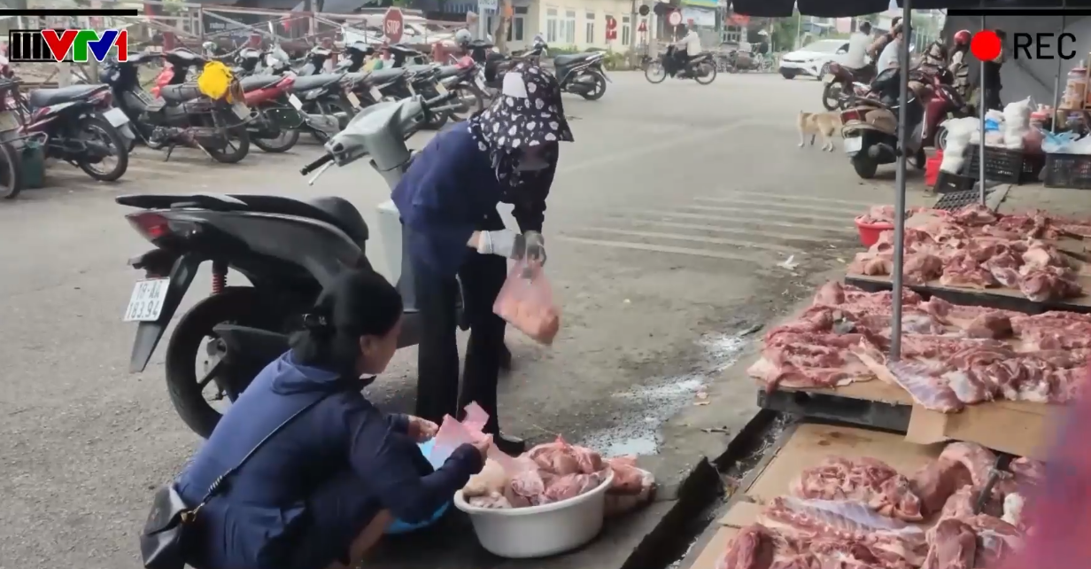 Thâm nhập cơ sở giết mổ chuyên thu gom lợn ốm, chết, không kiểm dịch ở Ninh Bình