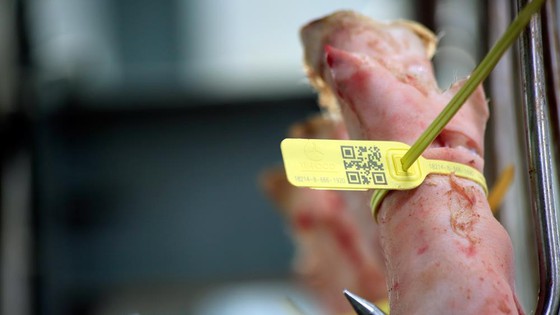 Chợ đầu mối Bình Điền: Kiểm soát chặt chất lượng thịt các loại ảnh 1