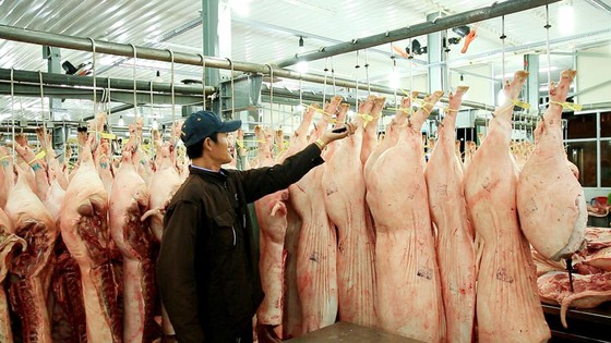 Chợ đầu mối Bình Điền: Kiểm soát chặt chất lượng thịt các loại ảnh 2
