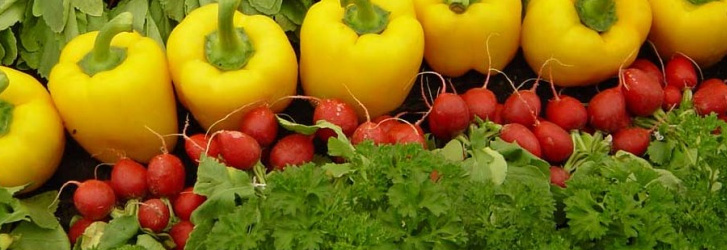Giải pháp nào đẩy mạnh hệ thống phân phối nông sản an toàn?