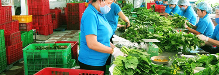 Nhân rộng mô hình điểm về an toàn thực phẩm