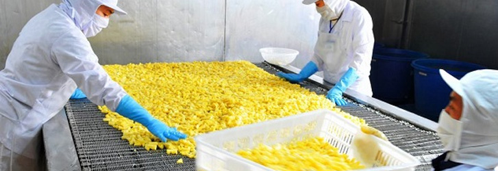 Cách làm một cửa trực tuyến hiệu quả cao tại Cục An toàn Thực phẩm