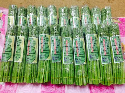 Sản phẩm măng tây đạt tiêu chuẩn VietGAP tại Bắc Ninh. Ảnh: Trung tâm Khuyến nông Quốc gia.