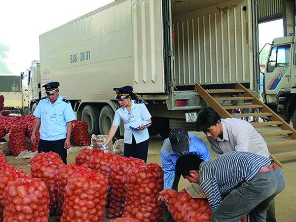 p/Chi cục Hải quan cửa khẩu Lào Cai kiểm tra thực phẩm XNK. Ảnh: Thanh Nga.