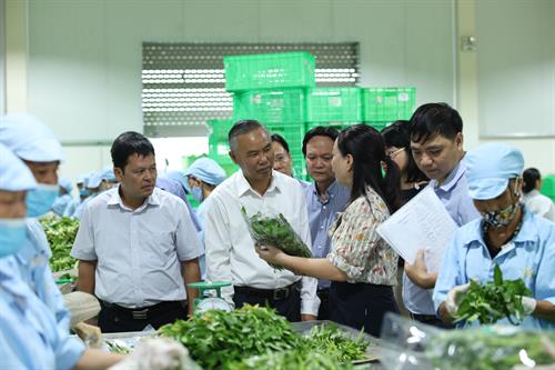 cac diem noi bat trong cong tac quan ly chat luong, attp nong lam thuy san tu khi ban hanh nghi quyet cua quoc hoi hinh anh 1