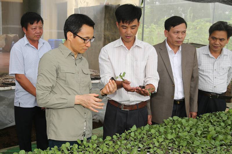 Năm 2018: Thực hiện nghiêm quy định về hậu kiểm an toàn thực phẩm  - Ảnh 1