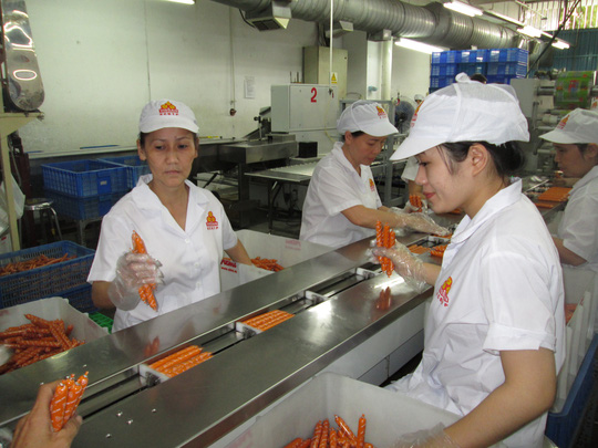 Chờ UBND TP HN quyết định - Ảnh 1.