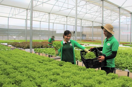 Năm 2018: Quyết liệt đảm bảo an toàn thực phẩm - ảnh 6