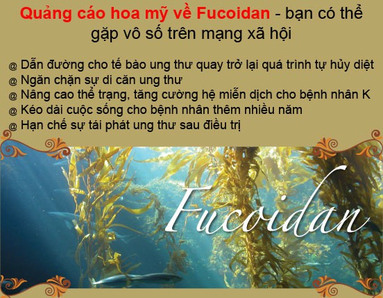 Chính phủ Nhật cấm ghi chức năng, về Việt Nam hô biến thành thần dược “dụ tế bào ung thư vào chỗ chết”! - Ảnh 5.