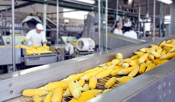 thực phẩm,kinh doanh thực phẩm,Nghị định 15